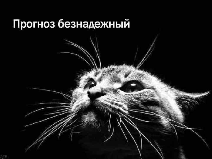 Прогноз безнадежный 