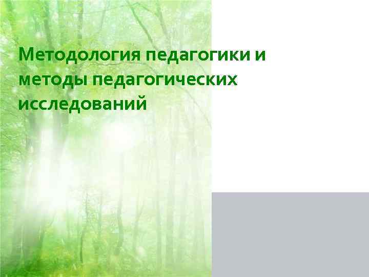 Методология педагогики и методы педагогических исследований 