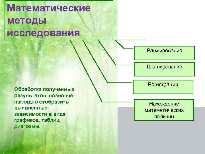 Математические методы исследования Ранжирование Шкалирование Обработка полученных результатов позволяет наглядно отобразить выявленные зависимости в