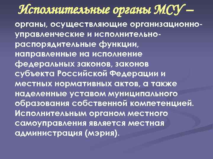 Исполнительные органы МСУ – органы, осуществляющие организационноуправленческие и исполнительнораспорядительные функции, направленные на исполнение федеральных