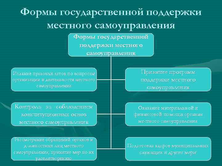 Формы государственной поддержки местного самоуправления Издание правовых актов по вопросам организации и деятельности местного