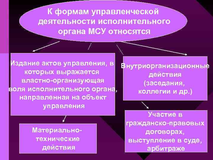 К формам управленческой деятельности исполнительного органа МСУ относятся Издание актов управления, в Внутриорганизационные которых