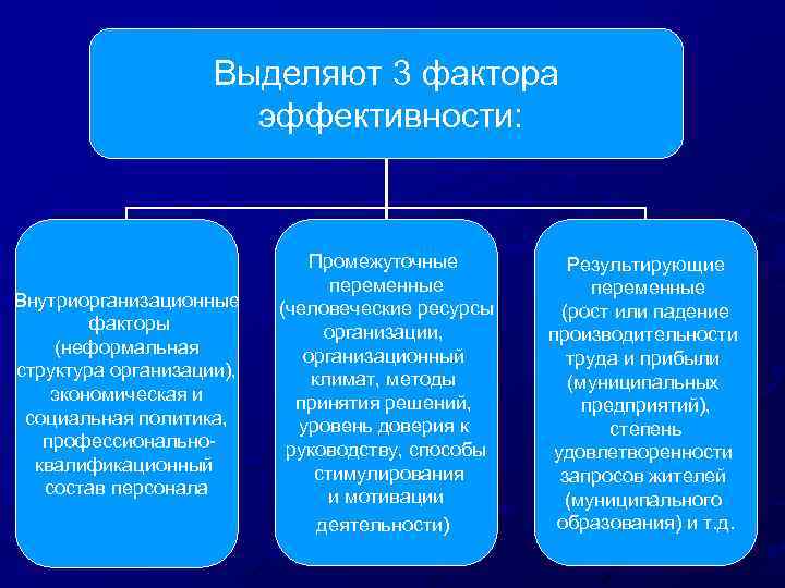 Выделяют 3 фактора эффективности: Внутриорганизационные факторы (неформальная структура организации), экономическая и социальная политика, профессиональноквалификационный