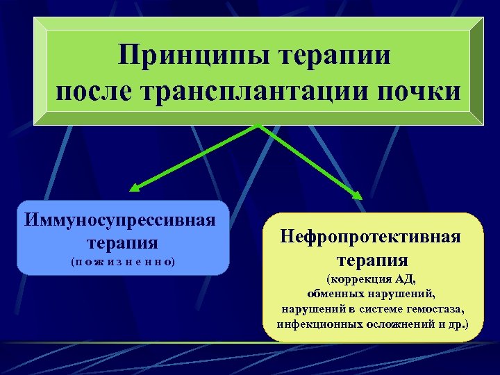 Принципы терапии после трансплантации почки Иммуносупрессивная терапия (п о ж и з н е