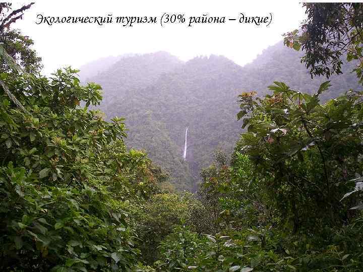 Экологический туризм (30% района – дикие) 
