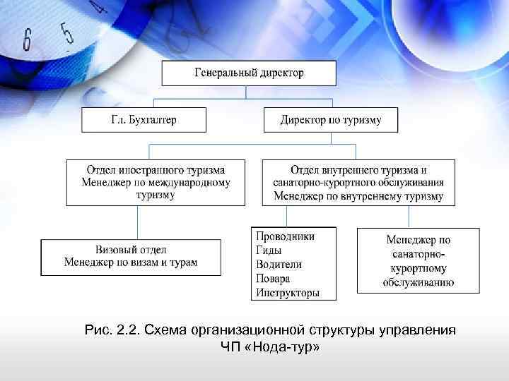Рис. 2. 2. Схема организационной структуры управления ЧП «Нода-тур» 