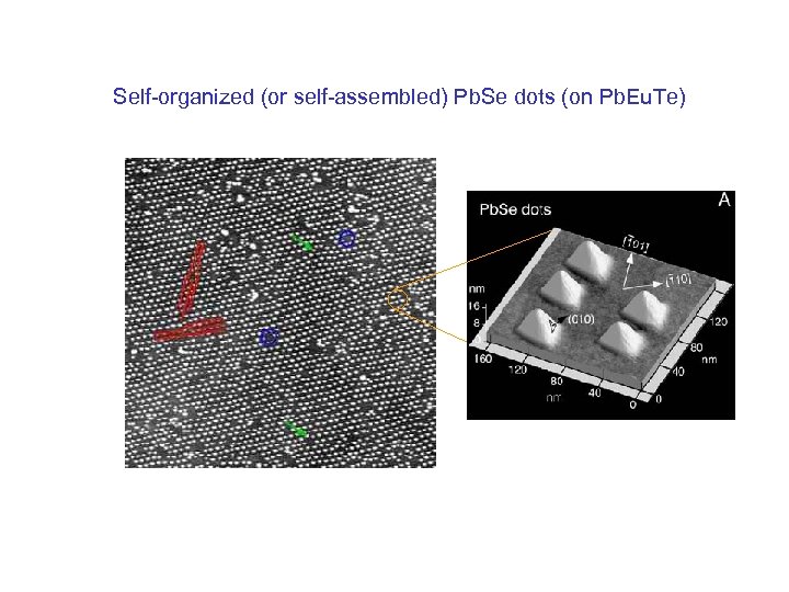 Self-organized (or self-assembled) Pb. Se dots (on Pb. Eu. Te) 