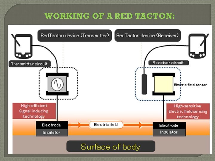 WORKING OF A RED TACTON: 