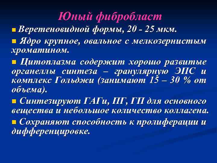 Юный фибробласт n Веретеновидной формы, 20 - 25 мкм. n Ядро крупное, овальное с