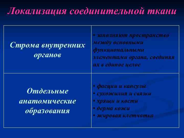 Локализация соединительной ткани Строма внутренних органов Отдельные анатомические образования • заполняют пространство между основными