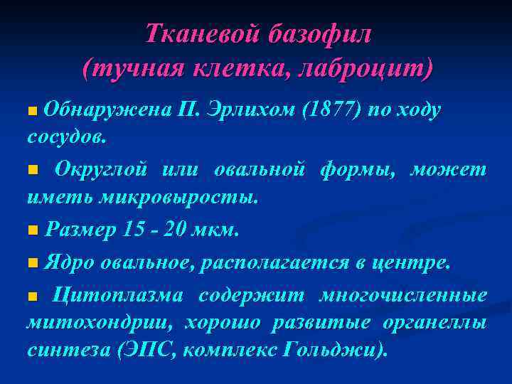 Тканевой базофил (тучная клетка, лаброцит) n Обнаружена П. Эрлихом (1877) по ходу сосудов. n