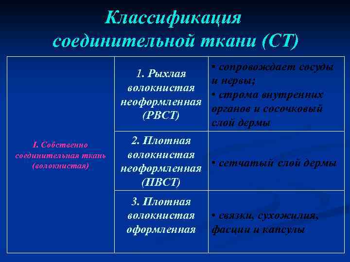 Классификация соединительной ткани (СТ) • сопровождает сосуды 1. Рыхлая и нервы; волокнистая • строма