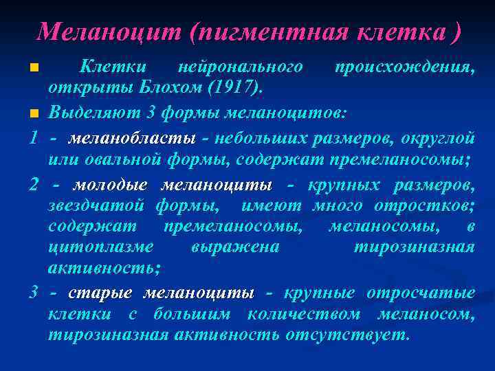 Меланоцит (пигментная клетка ) Клетки нейронального происхождения, открыты Блохом (1917). n Выделяют 3 формы