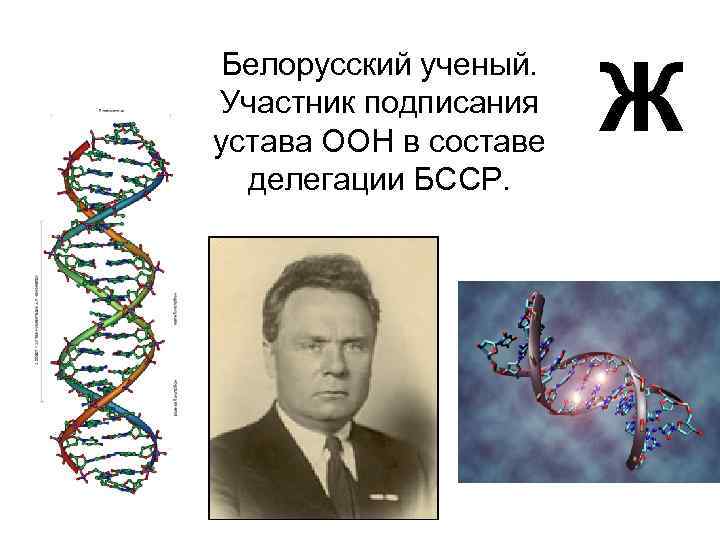 Белорусский ученый. Участник подписания устава ООН в составе делегации БССР. Ж 