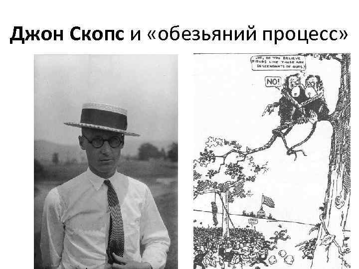 Джон Скопс и «обезьяний процесс» 