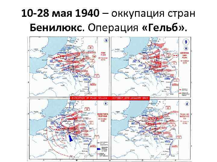 План гельб карта