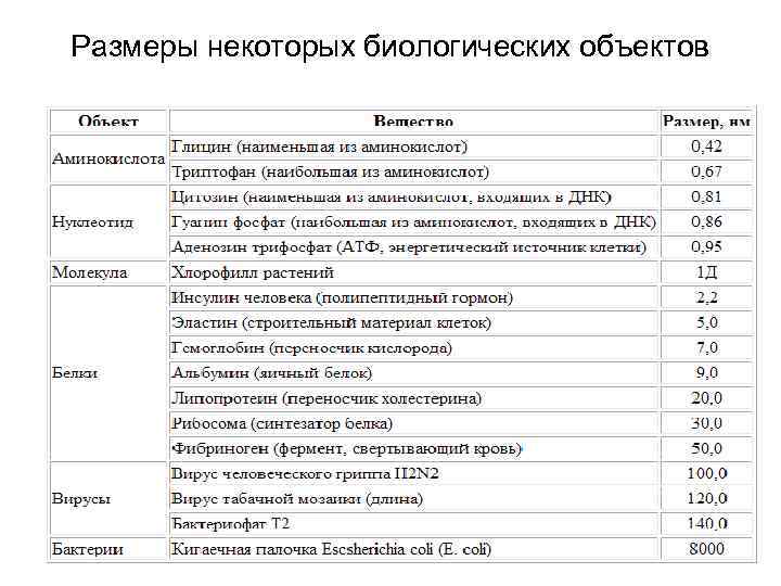 Размеры некоторых биологических объектов 