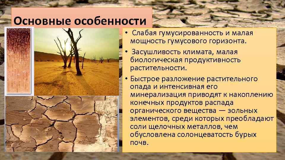 Особенности красно бурых почв