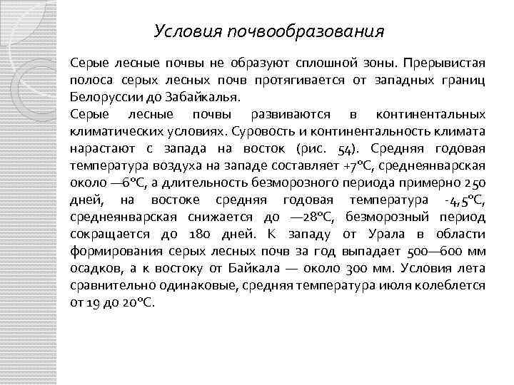 Условия почвообразования Серые лесные почвы не образуют сплошной зоны. Прерывистая полоса серых лесных почв