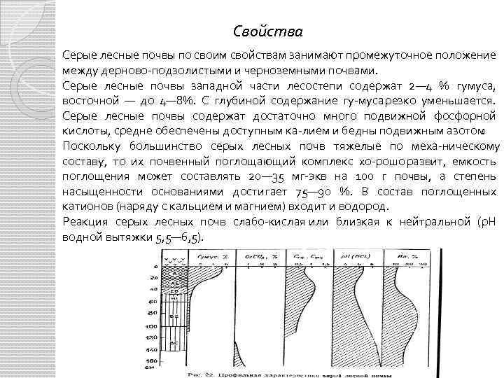 Свойства Серые лесные почвы по своим свойствам занимают промежуточное положение между дерново подзолистыми и