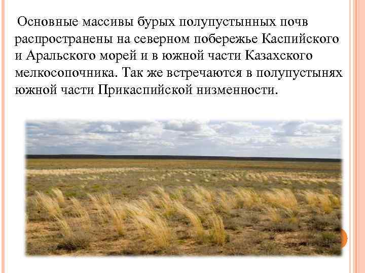 Основные массивы бурых полупустынных почв распространены на северном побережье Каспийского и Аральского морей и