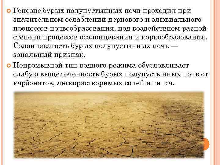 Особенности почв полупустынь. Бурые полупустынные почвы. Условия почвообразования бурые почвы полупустынь. Бурые полупустынные почвы почвообразование. Бурые полупустынные почвы Генезис.