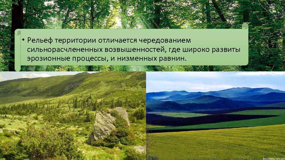 Низменные районы. Эрозионный рельеф. Эрозионные равнины. Охраняемые территории на равнинах. Строительство на равнинном рельефе.