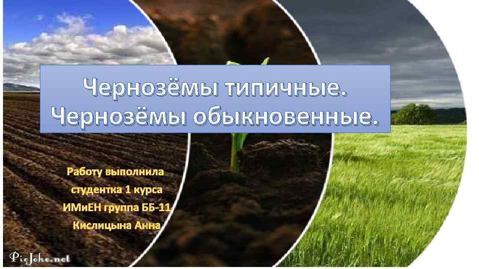 Чернозёмы типичные. Чернозёмы обыкновенные. 