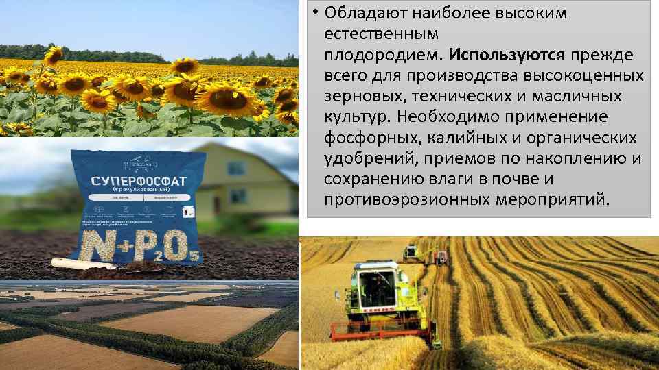  • Обладают наиболее высоким естественным плодородием. Используются прежде всего для производства высокоценных зерновых,