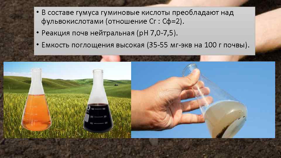  • В составе гумуса гуминовые кислоты преобладают над фульвокислотами (отношение Сг : Сф=2).