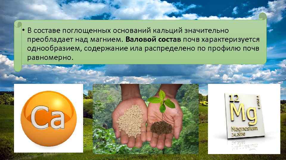  • В составе поглощенных оснований кальций значительно преобладает над магнием. Валовой состав почв