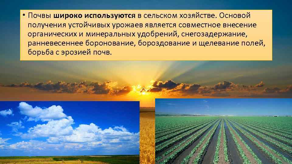 • Почвы широко используются в сельском хозяйстве. Основой получения устойчивых урожаев является совместное