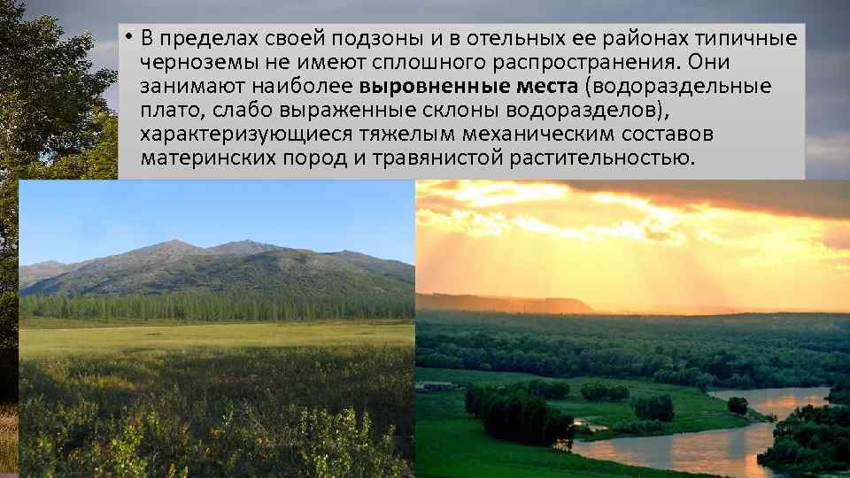  • В пределах своей подзоны и в отельных ее районах типичные черноземы не
