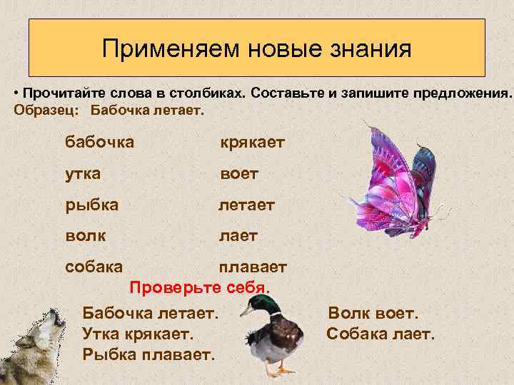 Применяем новые знания • Прочитайте слова в столбиках. Составьте и запишите предложения. Образец: Бабочка