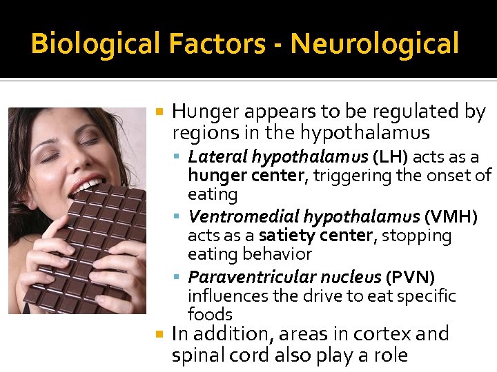 Biological Factors - Neurological Hunger appears to be regulated by regions in the hypothalamus