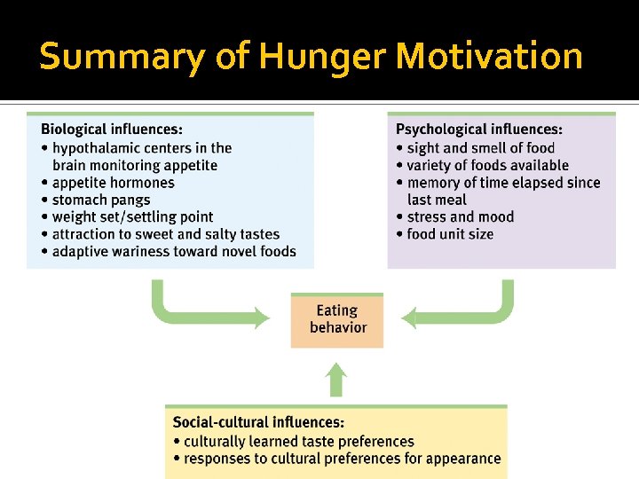 Summary of Hunger Motivation 
