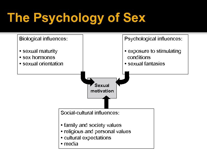 The Psychology of Sex Biological influences: Psychological influences: • sexual maturity • sex hormones