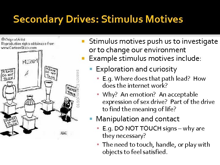 Secondary Drives: Stimulus Motives Stimulus motives push us to investigate or to change our