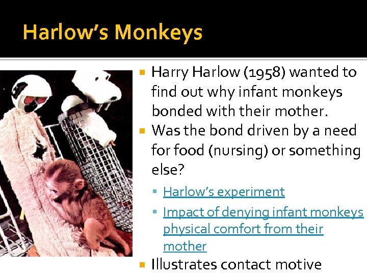 Harlow’s Monkeys Harry Harlow (1958) wanted to find out why infant monkeys bonded with