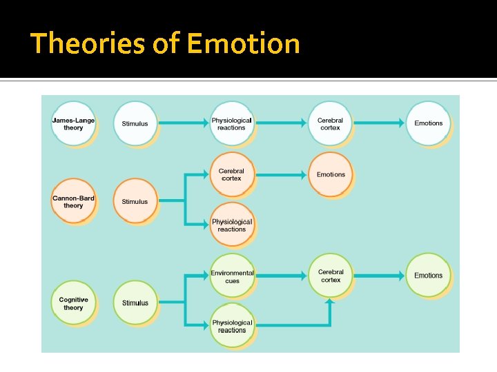 Theories of Emotion 