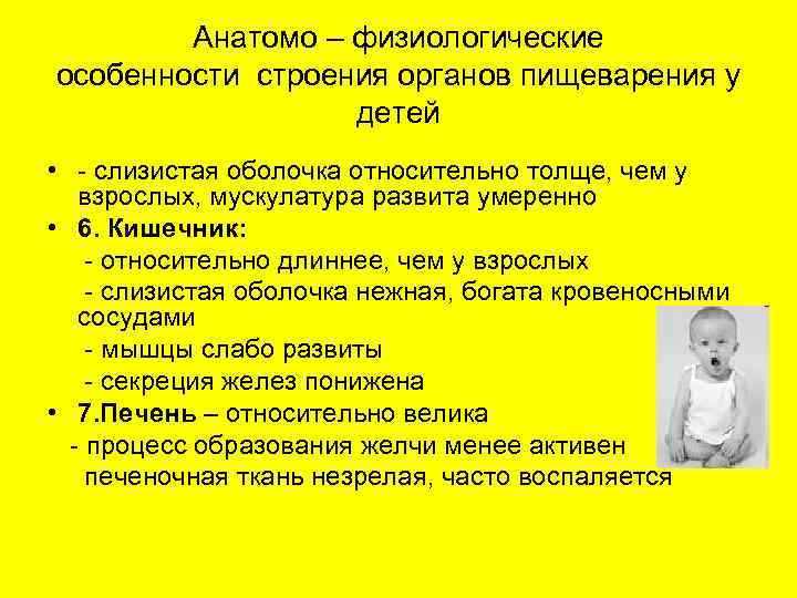 Анатомо – физиологические особенности строения органов пищеварения у детей • - слизистая оболочка относительно