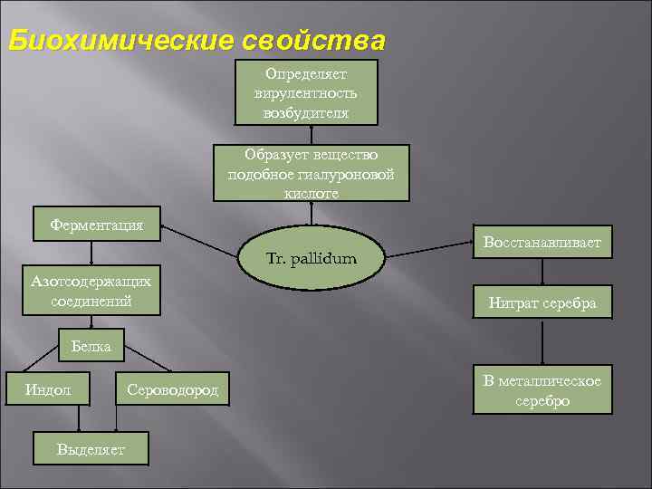 Биохимические свойства Определяет вирулентность возбудителя Образует вещество подобное гиалуроновой кислоте Ферментация Tr. pallidum Азотсодержащих