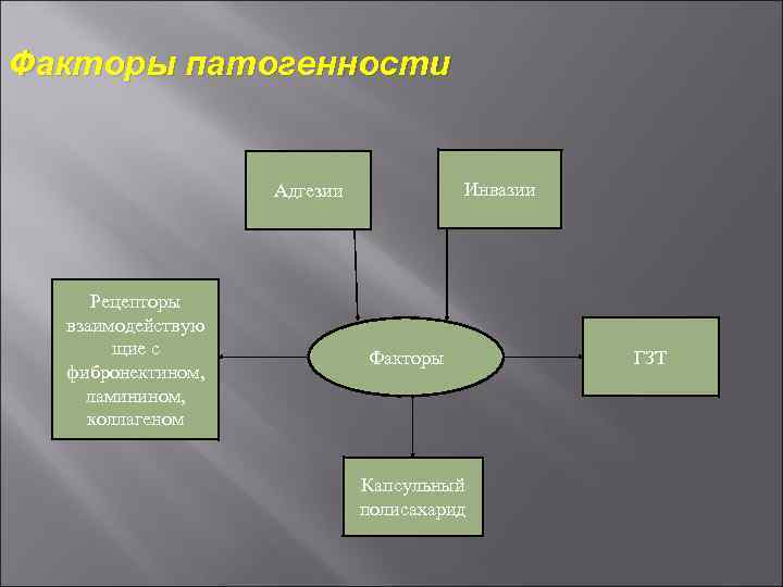 Факторы патогенности Инвазии Адгезии Рецепторы взаимодействую щие с фибронектином, ламинином, коллагеном Факторы Капсульный полисахарид