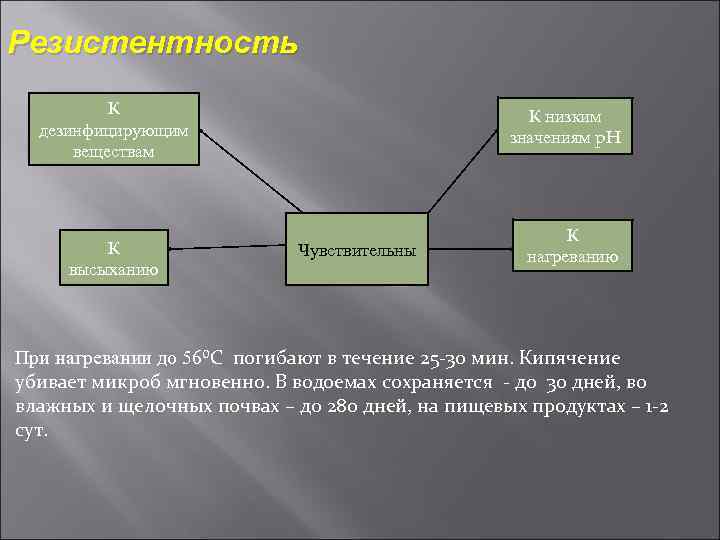 Резистентность К дезинфицирующим веществам К высыханию К низким значениям p. H Чувствительны К нагреванию