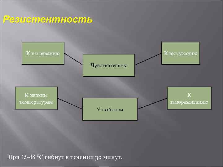 Резистентность К нагреванию К высыханию Чувствительны К низким температурам К замораживанию Устойчивы При 45