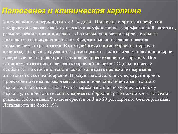 Патогенез и клиническая картина Инкубационный период длится 3 14 дней. Попавшие в организм боррелии