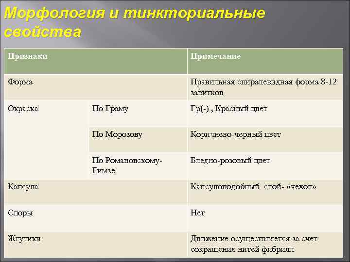 Морфология и тинкториальные свойства Признаки Примечание Форма Правильная спиралевидная форма 8 12 завитков Окраска