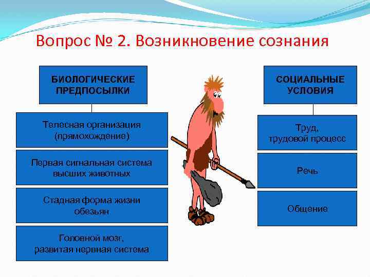 Вопрос № 2. Возникновение сознания БИОЛОГИЧЕСКИЕ ПРЕДПОСЫЛКИ СОЦИАЛЬНЫЕ УСЛОВИЯ Телесная организация (прямохождение) Труд, трудовой