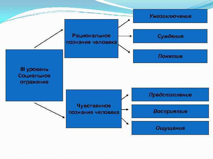 Умозаключение Рациональное познание человека Суждение Понятие III уровень Социальное отражение Представление Чувственное познание человека