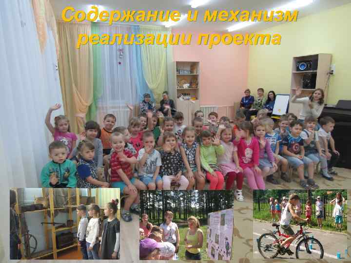 Содержание и механизм реализации проекта 